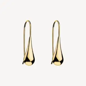 NAJO Gold Plated Teardrop Earrings