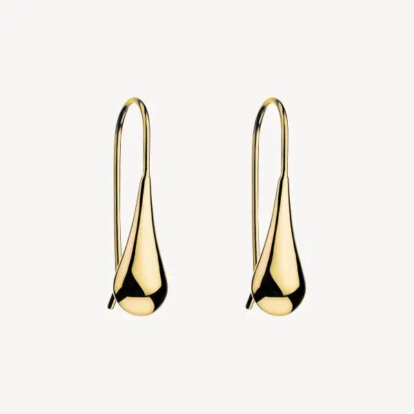 NAJO Gold Plated Teardrop Earrings