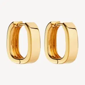 NAJO Gold Plated Elysium Hoop Earring